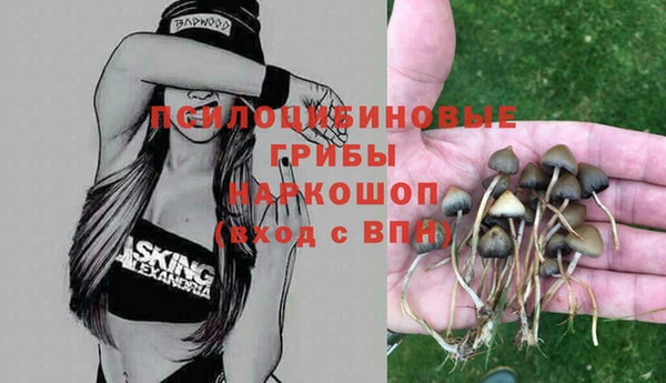 СК Абдулино