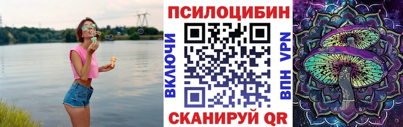 Псилоцибиновые грибы мицелий купить наркотик Сольвычегодск